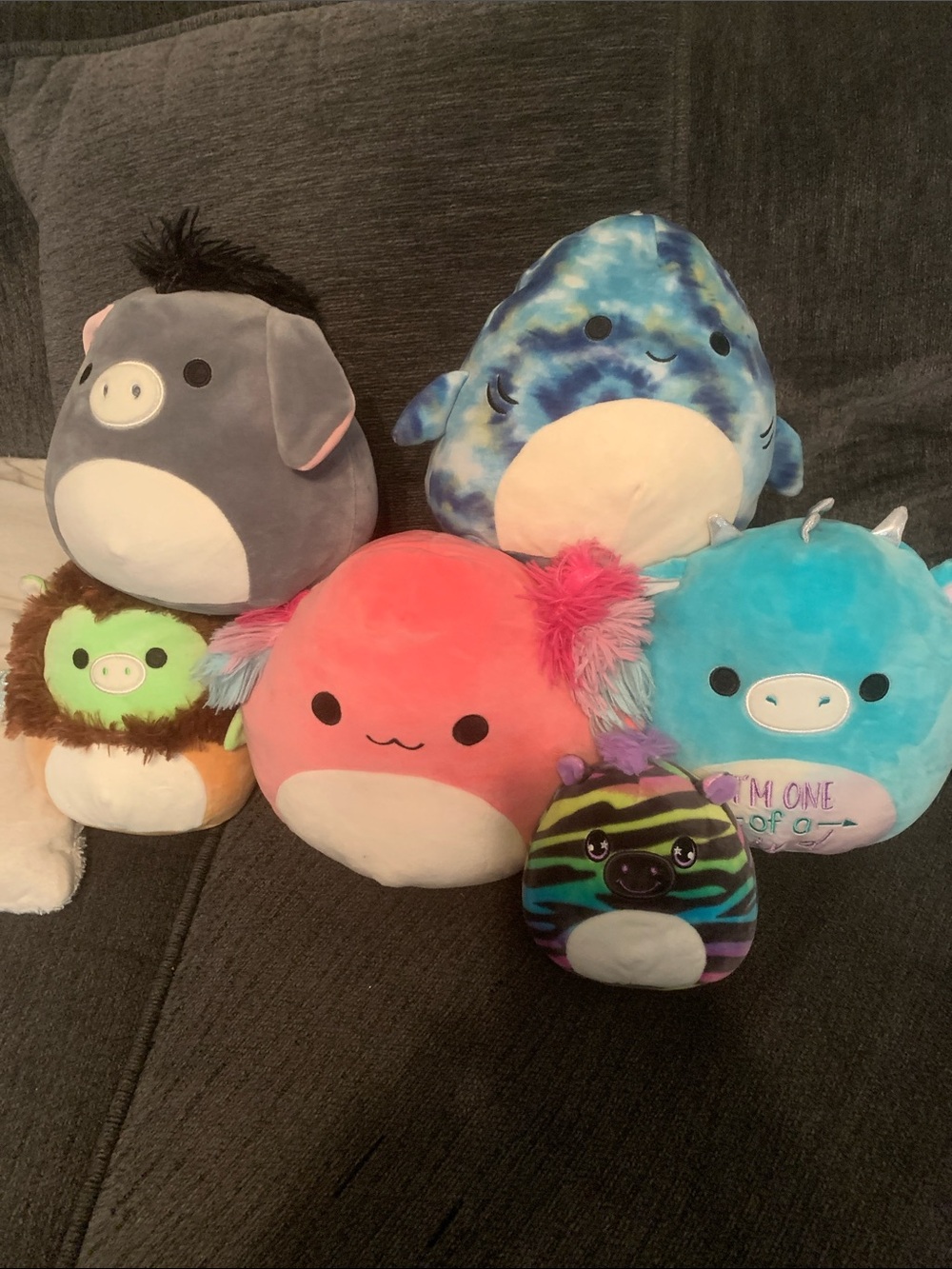 Lot of 6 Squishmallows- *Tags removed* Multicolor Plush- different sizes